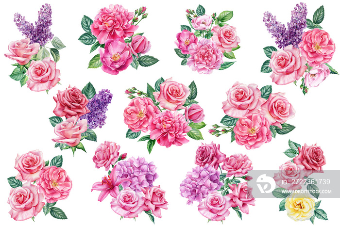 Roses and lilac, set flowers on isolated background, watercolor illustration for design, print, fabr