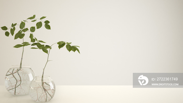 White table top or shelf with glass vase with hydroponic plant, ornament, root of plant in water, br