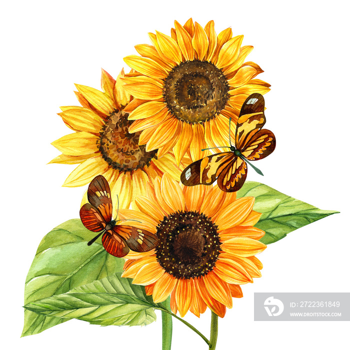 Watercolor bouquet of sunflowers and butterfly, hand drawn floral illustration isolated on white bac