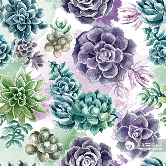 Pattern succulents painted with watercolor on a white background. Color cacti. A stone rose. Flowers