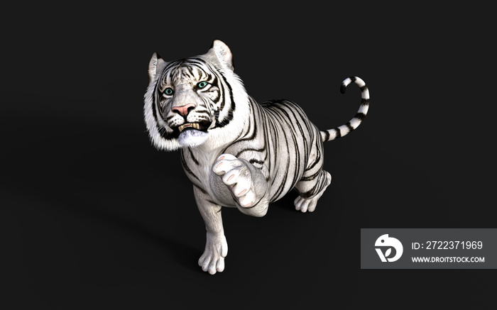 White Tiger Albino Isolated on Dark Background with Clipping Path. 3d Illustration.