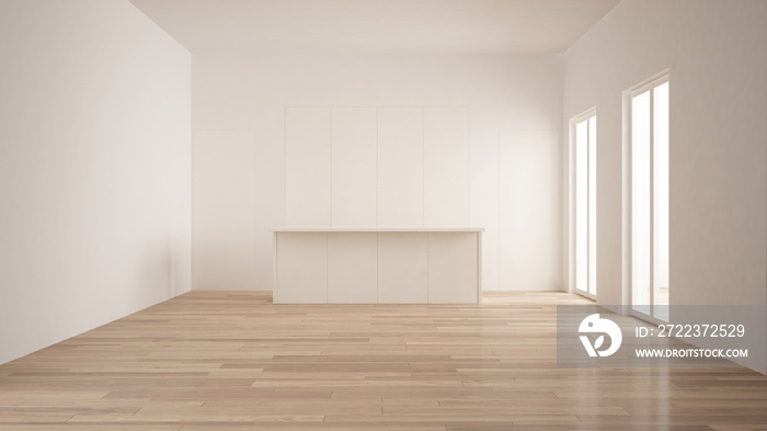 极简主义，现代空房间，带白色隐藏厨房，岛式，镶木地板，白色和木制