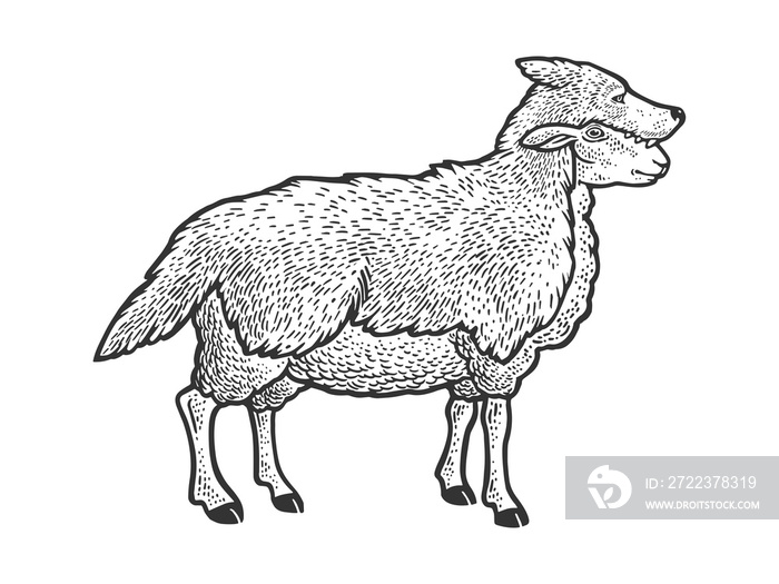 披着狼衣的绵羊素描光栅插图