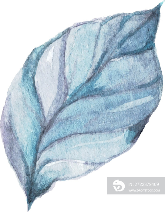 Leaf Watercolor illustration