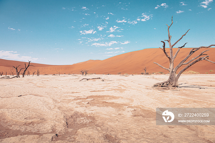 Desert - Deadvlei