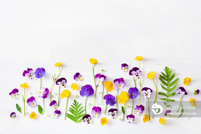 beautiful pansy violet summer flowers flatlay on white