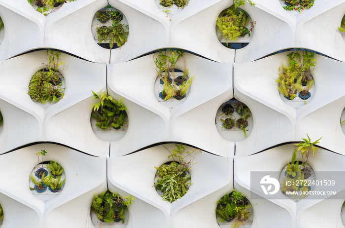 Wall of modern architecture with concrete blocks and vertical garden