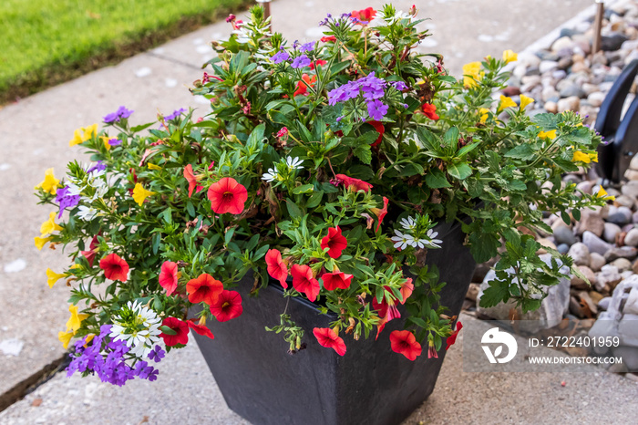 planter full of red, yellow, purple and white million bells and other flowers