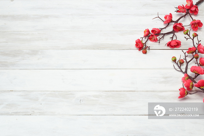 Plum Flowers Blossom on white wood plank