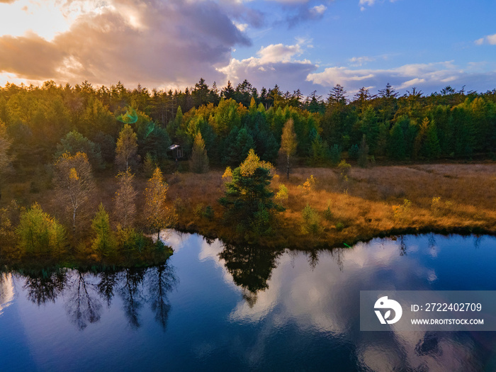 Wooden hut in an autumn forest in the Netherlands, cabin off grid , wooden cabin circled by colorful yellow and red fall trees.