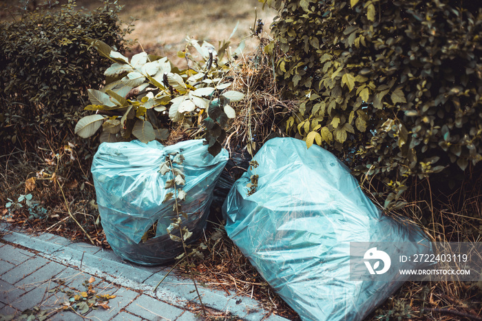 Trash plastic bags filled with dried grass and leaves placed next to a sidewalk in the park – Concept image for recycling and cleaning the environment