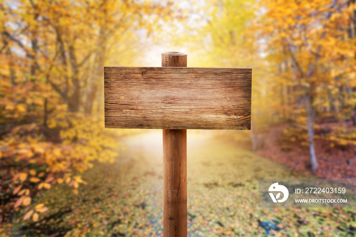 Natural wooden Mock up sign board or direction boardin the forest with autumn background.