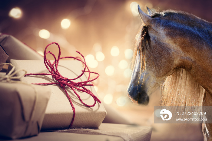 Weihnachten - Portrait von einem Pferd vor Geschenk