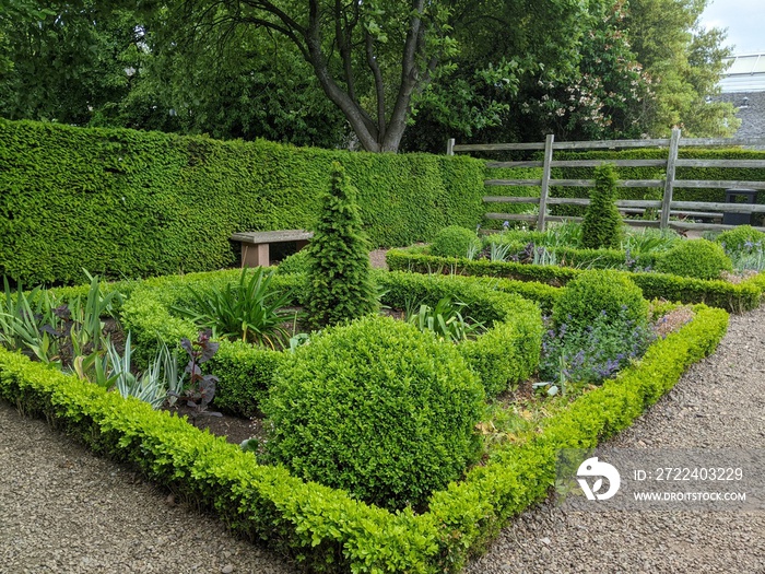 garden with hedge