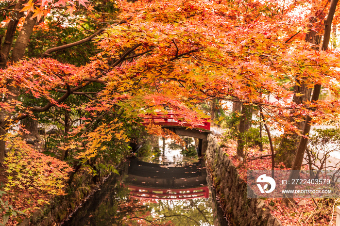 紅葉の鎌倉鶴岡八幡宮