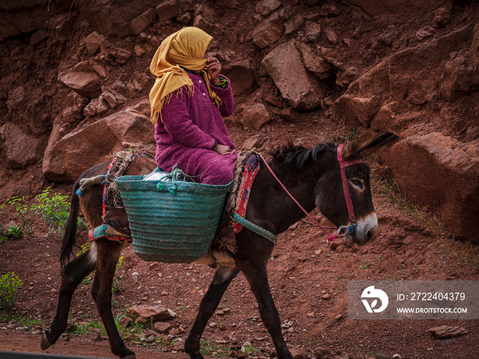 Berber woman riding a donkey, Ait Blal, azilal province, Atlas mountain range, morocco, africa