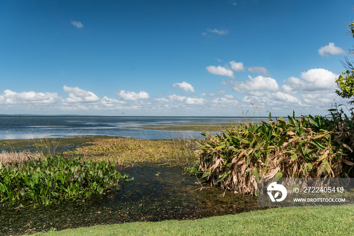 Beautiful Lake Apopka located in Central Florida with clouds and deep blue sky on a magnificent day .