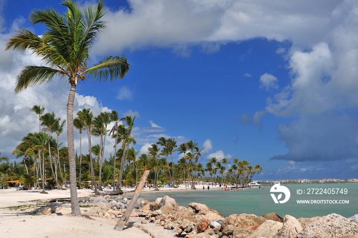 Palms, sea, white sand and blue sky