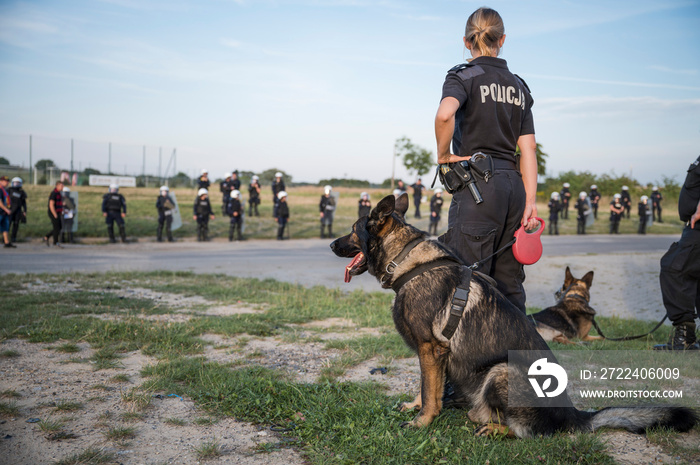 Police dog held by a policewoman (caption in Polish  Police ) with many policemen in the background