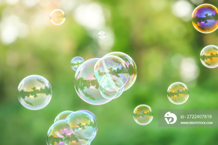 soap bubbles on green nature background