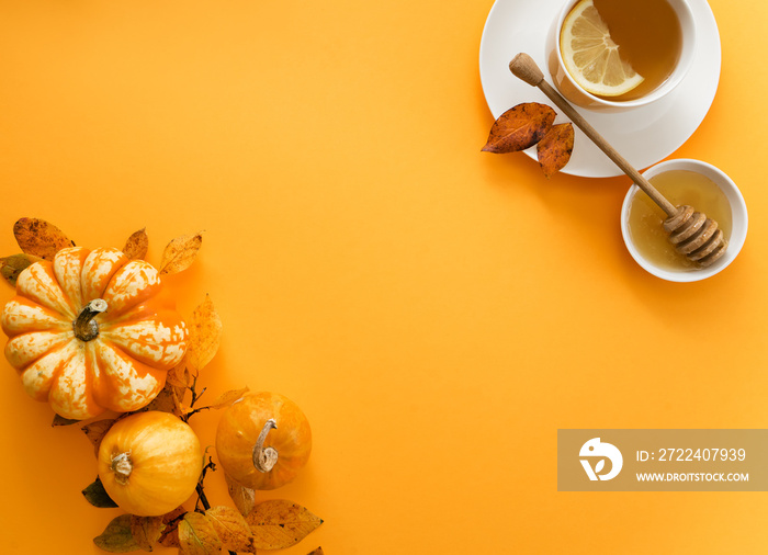 autumn healthy tea on bright background