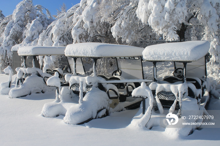 golf carts in snow