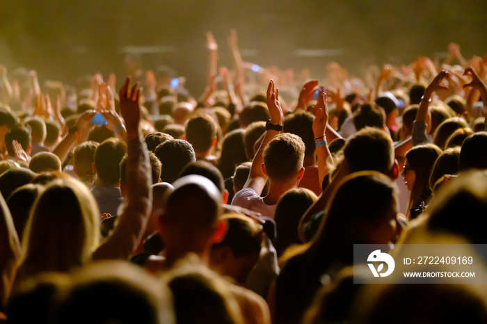 Crowd of fans cheering at open-air music festival