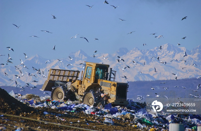 Caterpillar compactor working in a landfill