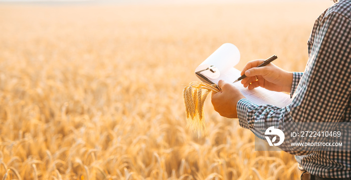 Agronomist writing on a document the wheat development plan.  Banner with  copy space.