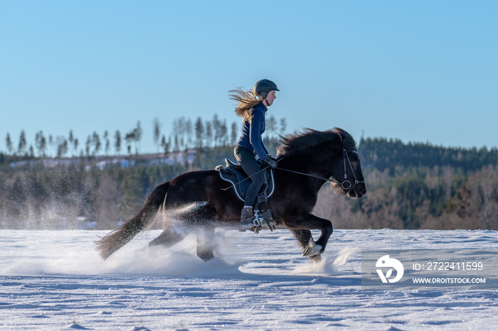 Swedish girl riding her Icelandic horse in deep snow