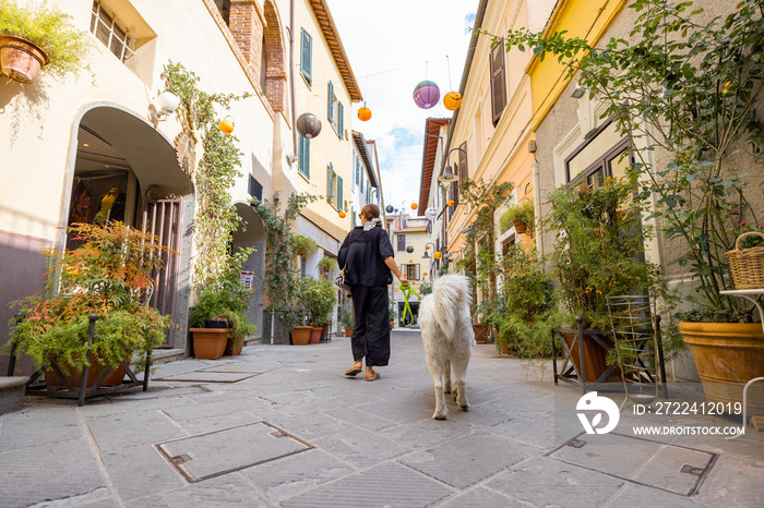 Woman walking with dog on narrow street in the old town of Grosseto, in Maremma region of Italy. Maremmano abruzzese sheepdog that comes from this area of Italy