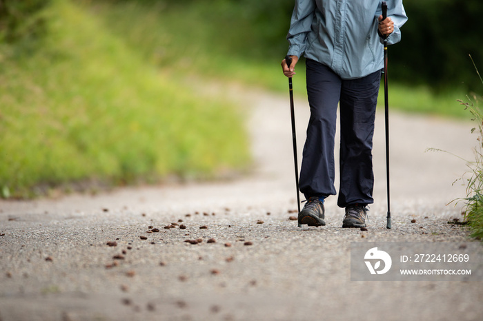 Senior person staying fit by doing daily cardio exercise, going for a fast paced power walk with sticks