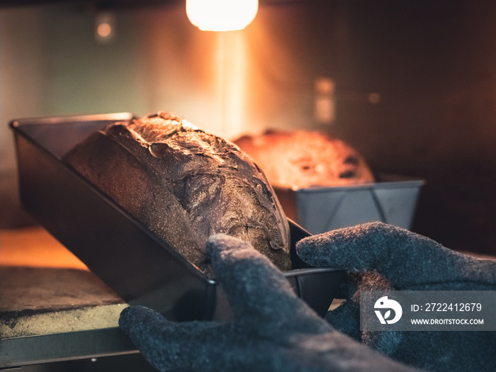 hands with gloves taking a freshly baked wholemeal tin loaf out of the oven