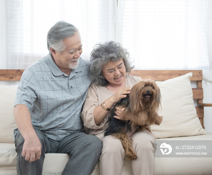 Happy elderly senior asian couple sit on sofa together with pet therapy in nursing daycare,Retired man and woman holding dog while sitting on couch in living room at home.