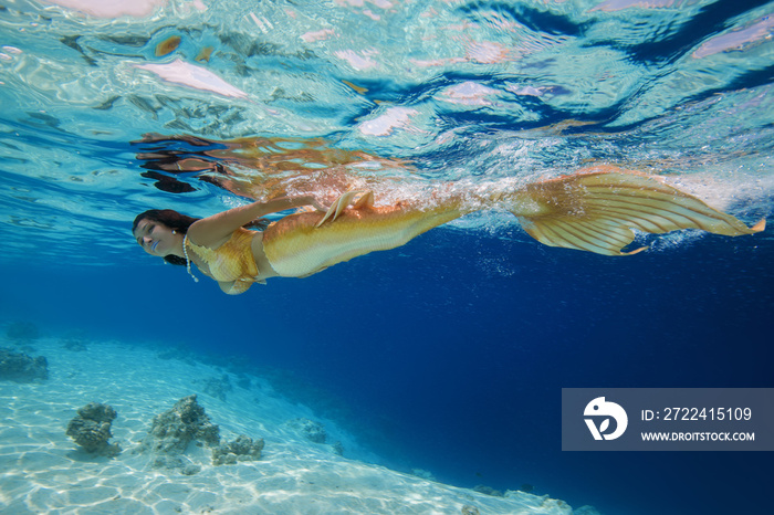 Mermaid swims under water, Indian Ocean, Maldives