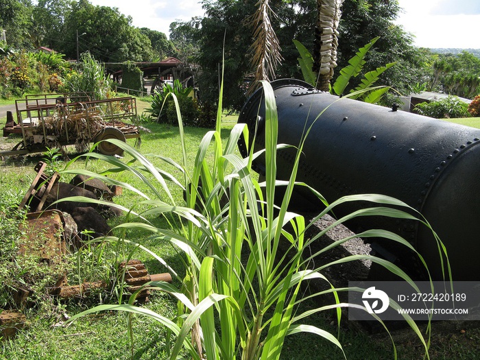 Distillerie de Guadeloupe