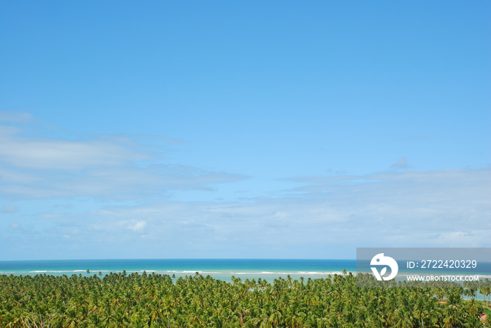 Pedras Port / Alagoas / Brazil. November, 28, 2008. Views of Patacho Beach in northeastern Brazil.