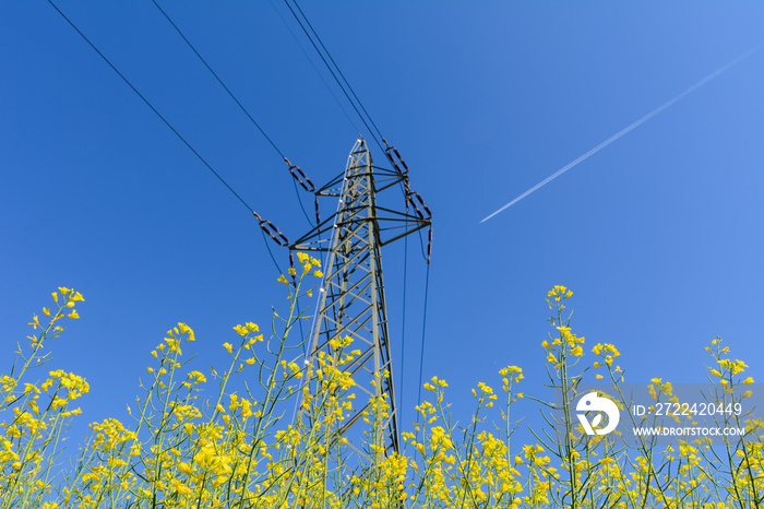 Strom durch den Strommast mit blauem Himmel