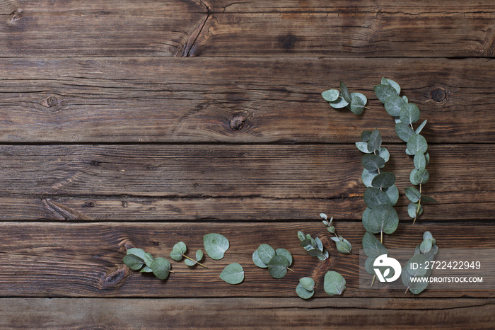 eucalyptus on old dark wooden background