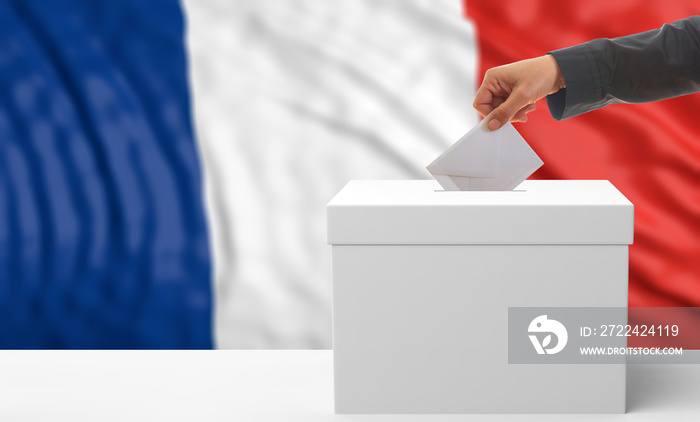 Voter on a France flag background. 3d illustration