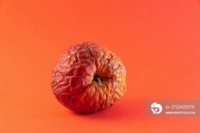 old rotten apple on a colored background close-up