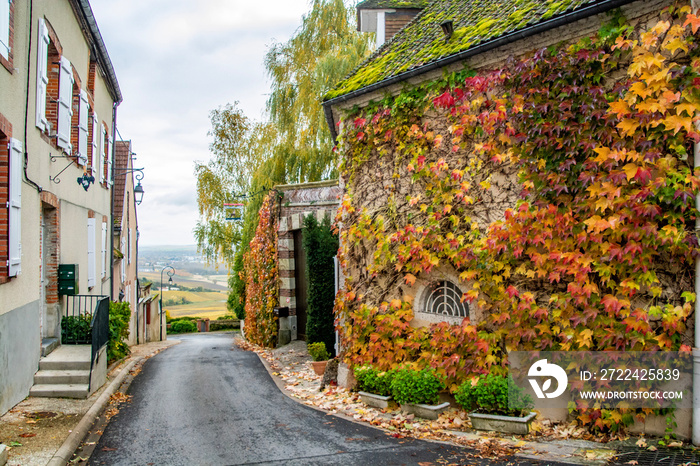 autumn in champagne