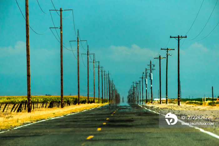 Empty highway with electric poles on the side during summer.