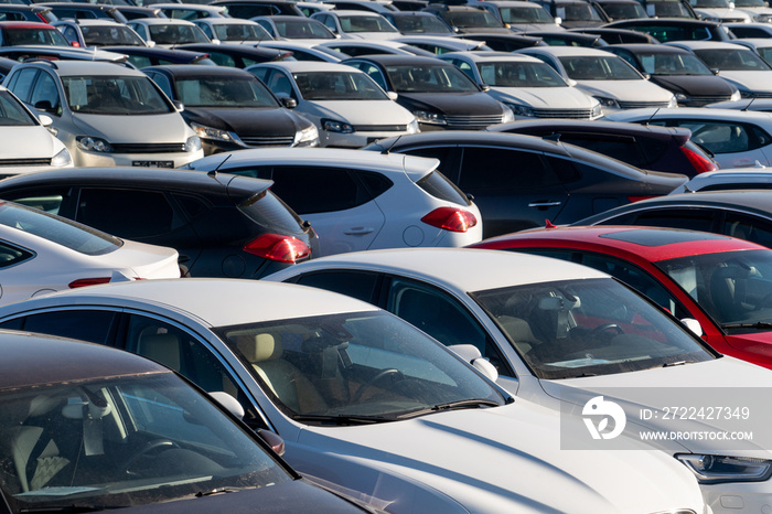 Cars in a row. Used car sales