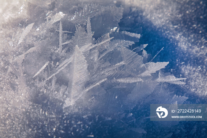 Eiskristalle - Schnee - Allgäu - Winter - Frost