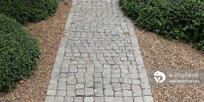 stone walk way in the garden