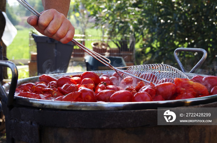 Cottura pomodoro estiva come da tradizione emiliana per sugo