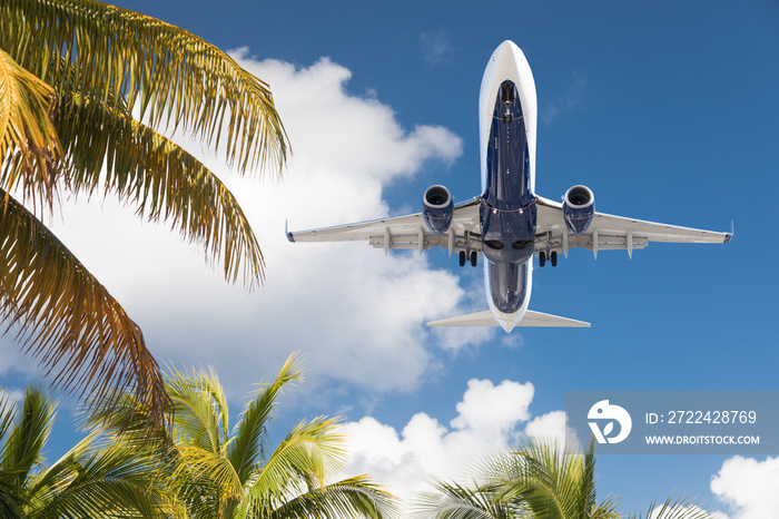 Bottom View of Passenger Airplane Flying Over Tropical Palm Trees