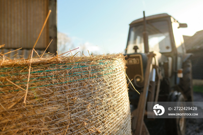 Large bale of hay seen being transported by a tractor from a dry barn. Seen on a dairy farm the bale is used as feed for the livestock over winter.