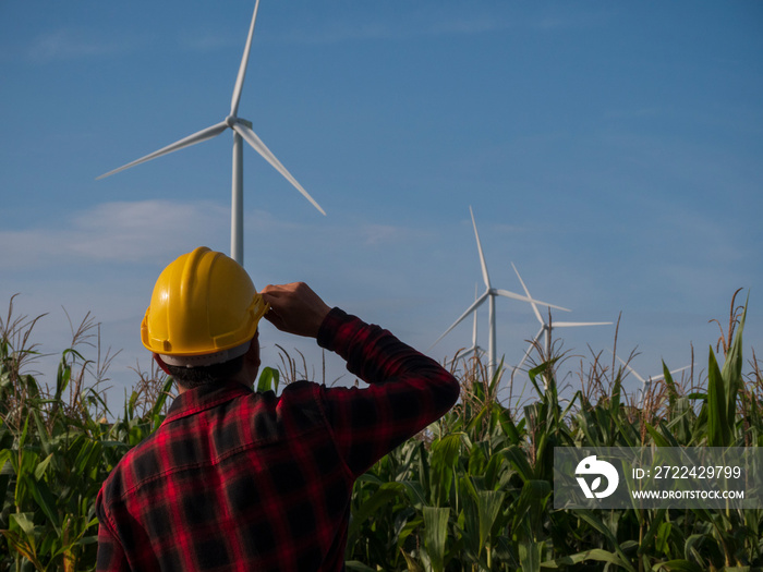 Workers wearing helmets are enjoying corn fields and windmills,Engineer, wind farm, corn field